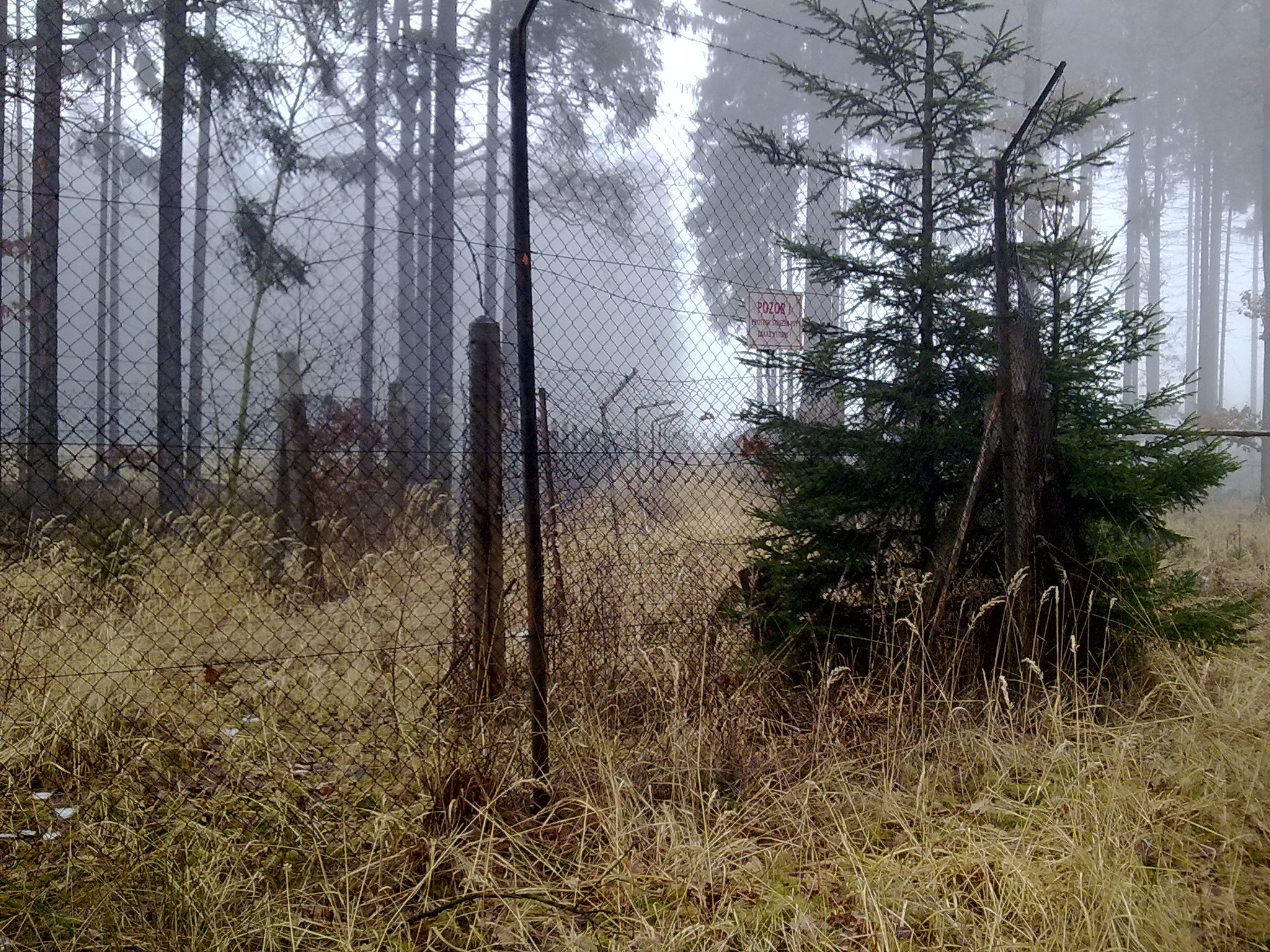 07022009133.jpg